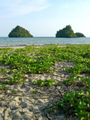 อุทยานแห่งชาติหาดนพรัตน์ธารา อ.เมือง จ.กระบี่ 